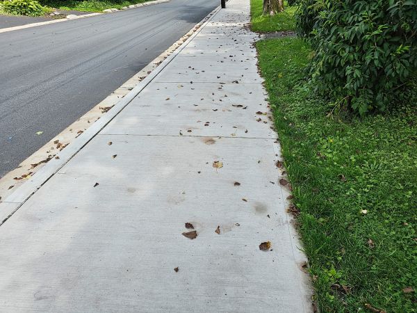 Sidewalk Renovation in Santa Ana