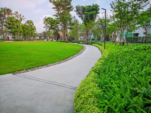 Cement Walkway Service in Santa Ana