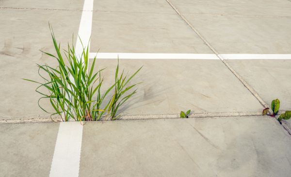 Concrete Parking Installation in Santa Ana